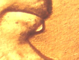2006-P--LMC-Die-Break/Chip-Under-Lip-Of--Lincoln?